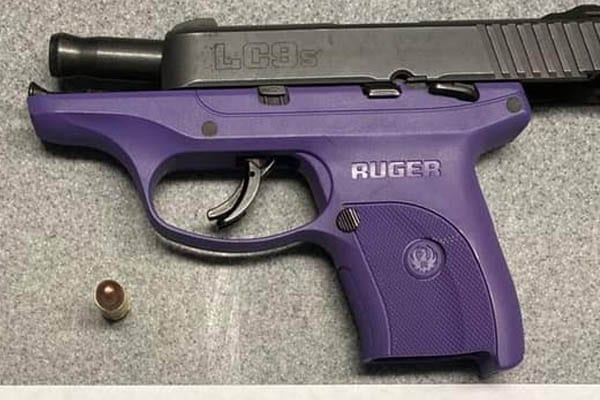 Local felon admits to illegally possessing Ruger