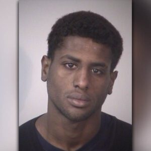 Suspect fled police until crashing stolen vehicle, then fled on foot