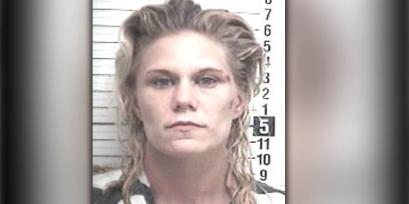 Mom who left child in car that was repossessed facing felony child neglect charge