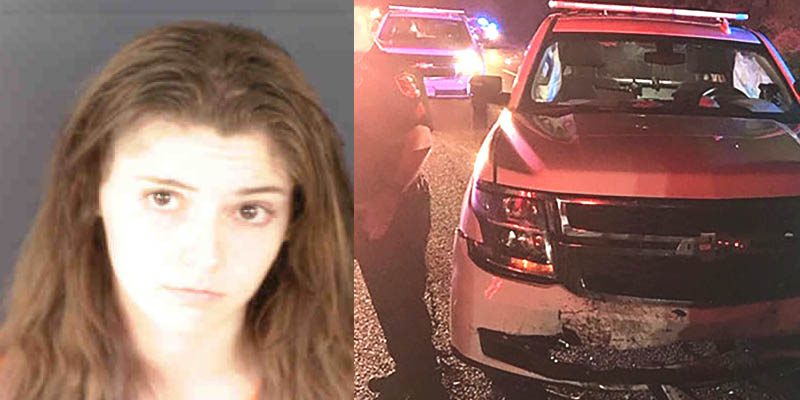 Drunk driver plowed head-on into Sarasota Sheriff's Deputy Vehicle on I-75
