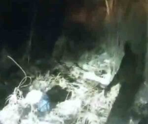 Watch as new jersey state troopers rescue boy stuck waist deep in an icy marsh