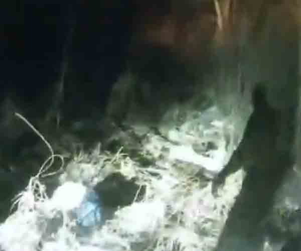 Watch as New Jersey State Troopers Rescue Boy Stuck Waist Deep in an Icy Marsh