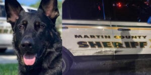 Suspect's stinky feet lead to zoro capturing suspect that rammed sheriff's vehicle