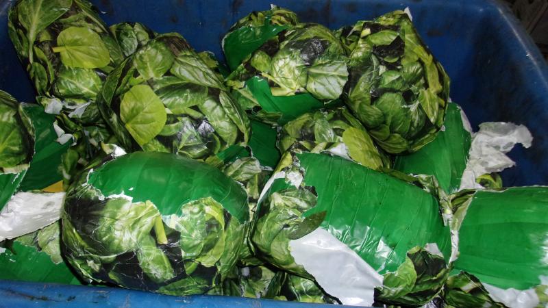 $1.3 million in meth wrapped in spinach seized at U.S.-Mexico border