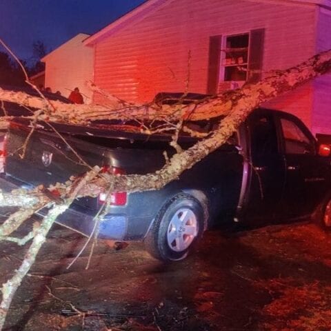 Riverdale man killed by falling tree getting into his truck to go to work - photo licensed by shore news network.