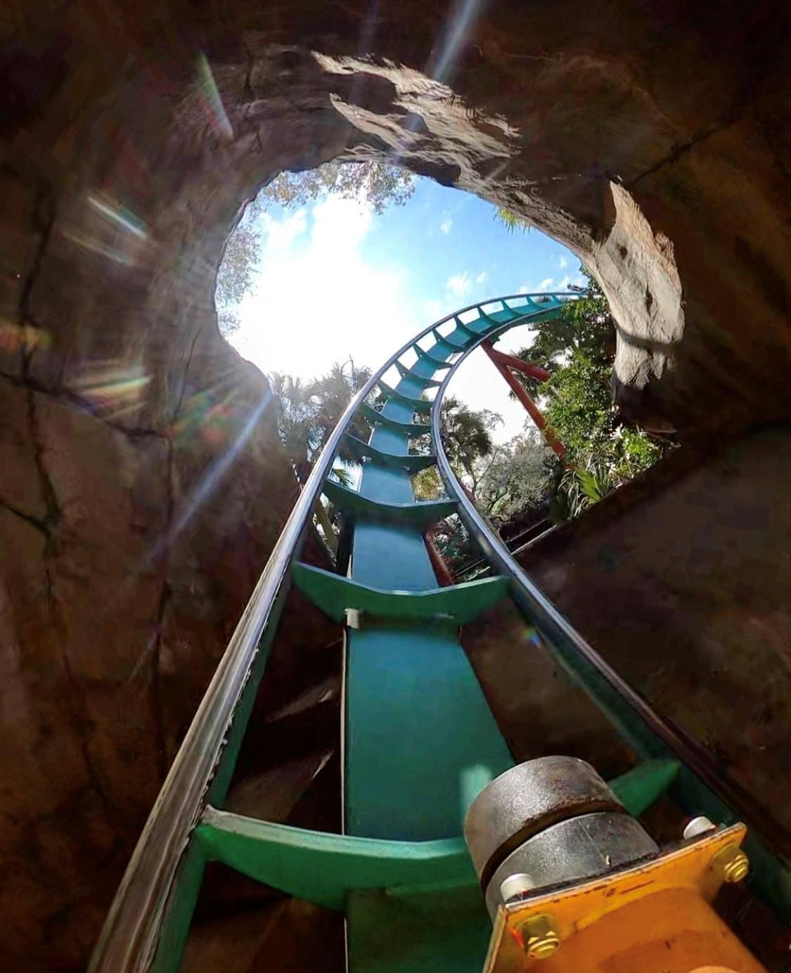 Busch Gardens will have plenty of beer, rides and excitement for guests on St. Patrick's Day