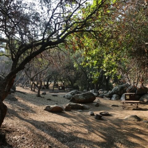 Reservations now required for camping at sequoia and kings canyon national parks - photo licensed by shore news network.