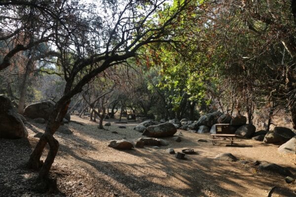 Reservations now required for camping at sequoia and kings canyon national parks - photo licensed by shore news network.