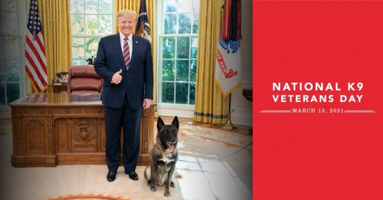 Gop trolls joe biden and his dog problems on national k-9 veterans day - photo licensed by shore news network.