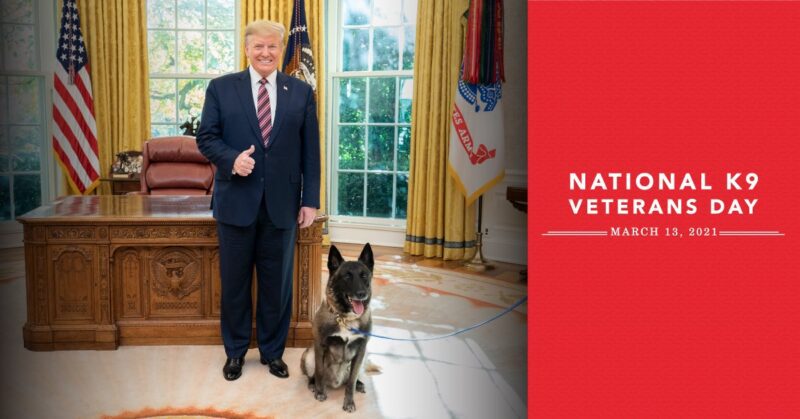 GOP trolls Joe Biden and his dog problems on National K-9 Veterans Day