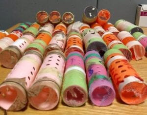 Guyana man tried to smuggle birds inside hair rollers caught at JFK Airport