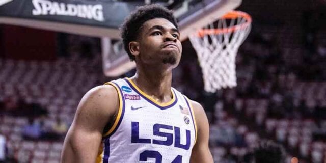 What should i bet? Lsu vs. Michigan march madness preview