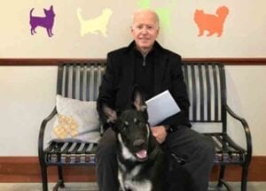 Joe Biden kicks dog Major out of White House after biting Secret Service agent