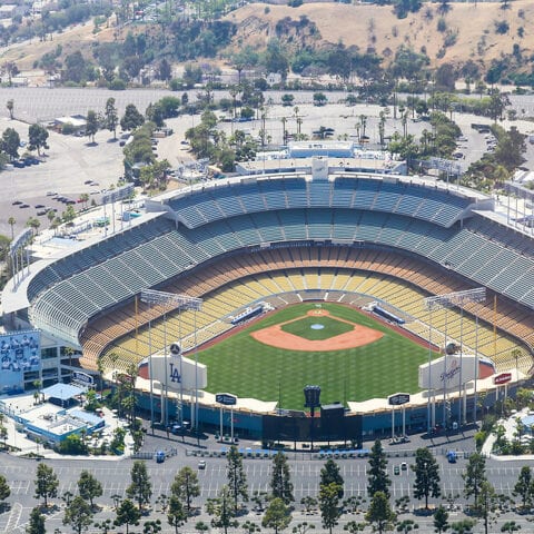 This one-person protest against mlb universal dh held at dodger stadium could be the catalyst for the next nationwide movement - photo licensed by shore news network.