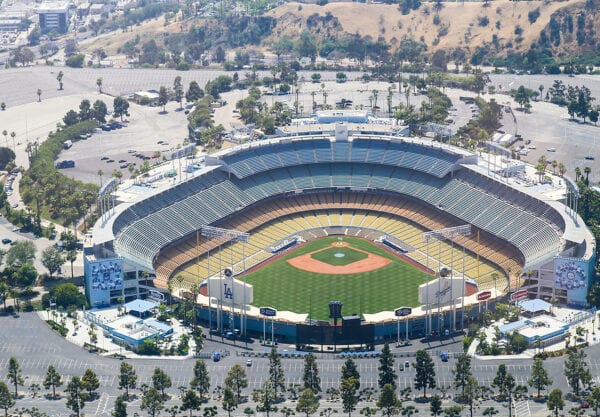 This one-person protest against MLB universal DH held at Dodger Stadium could be the catalyst for the next nationwide movement