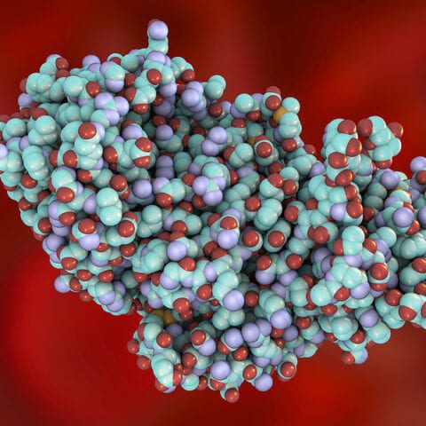 Pennsylvania man charged with obstruction of justice relating to attempts to acquire ricin - photo licensed by shore news network.