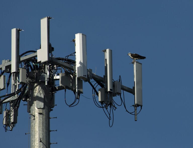 Lawmaker urges cybersecurity awareness after nationwide at&t outage - photo licensed by shore news network.