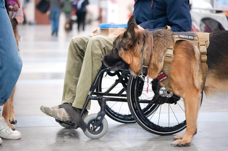 Committee approves oroho bill that would protect individuals with disabilities - photo licensed by shore news network.