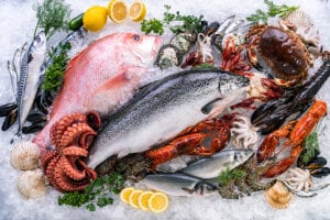 Bait store owner guilty of selling illegal bait