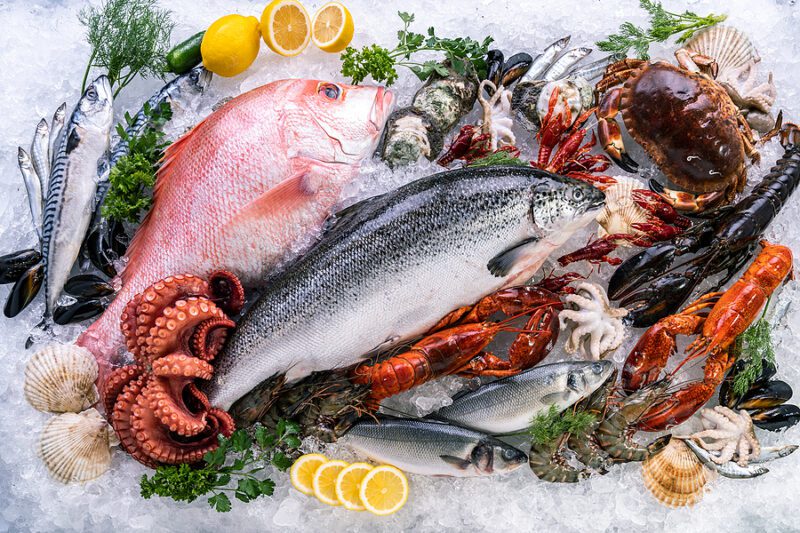 Bait store owner guilty of selling illegal bait