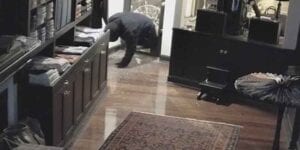 Police searching for suspect in d. C. Burglary
