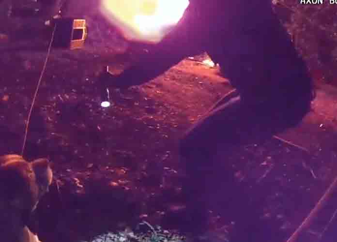 Police rescue dog tethered in extreme heat near vehicle fire