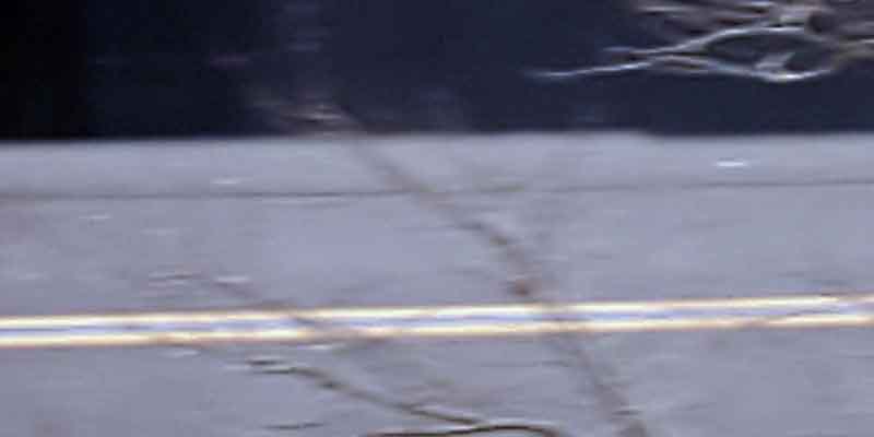 Ocean County Commissioners removing blue line painted overnight in Downtown Toms River