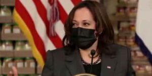 Kamala harris "not doing the border", report