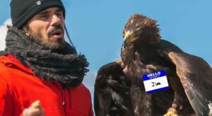 What is jim eagle and what does it mean?