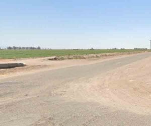 12 illegal aliens, driver dead in "horrific' crash after crossing u. S. Mexico border