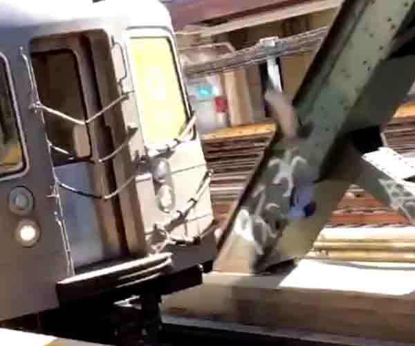 In crime infested NYC, pigeons are now pushing each other off subway platforms
