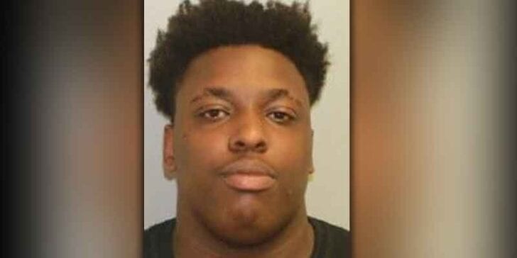 Brick man pleads guilty to running over entire family of geese