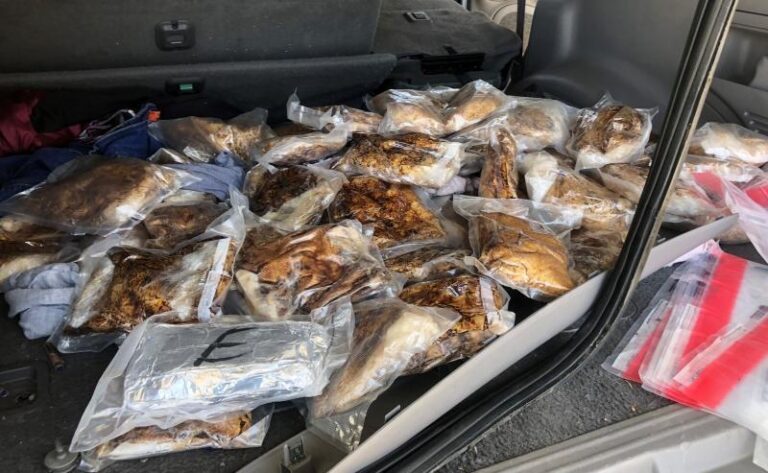 Two californians caught trying to smuggle 60 pounds of meth across border - photo licensed by shore news network.