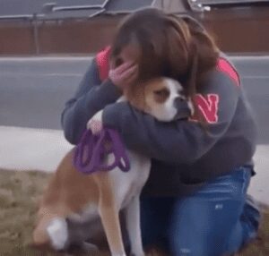 Boxer foster mom is devastated to give her dog to her new adoptees, until the unexpected happened
