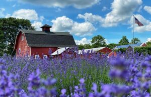 Five great spots in New Jersey to take the entire family this spring Five great spots in New Jersey to take the entire family this spring