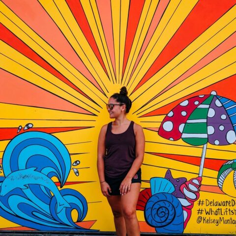 Delaware discovery trail adds artwork to scenic trail - photo licensed by shore news network.