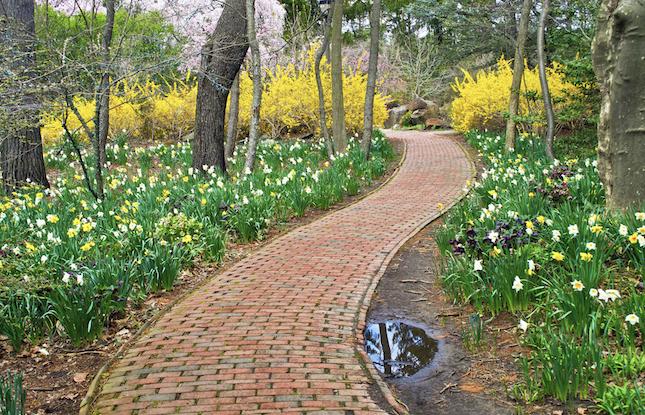 7 Gardens that Show Why New Jersey is the Garden State