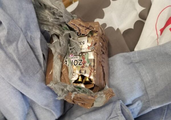 Zombie apocalypse ammo on its way to honduras intercepted in delaware