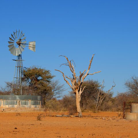Biden administration seizes family farm in order to continue building trump's border wall - photo licensed by shore news network.