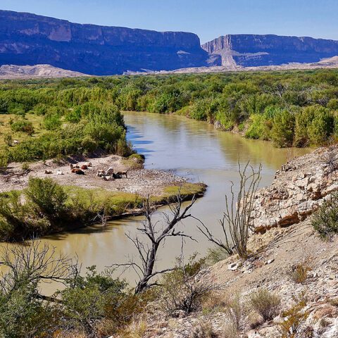 Border agents rescue family of 3 from drowning while crossing rio grande - photo licensed by shore news network.