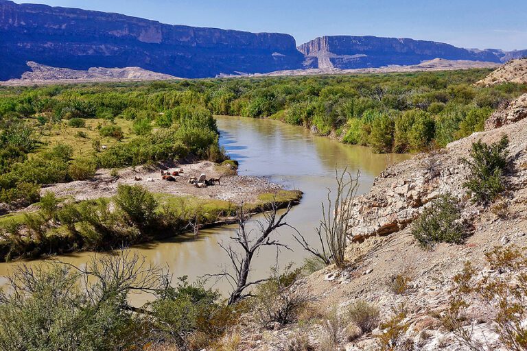 Border agents rescue family of 3 from drowning while crossing rio grande - photo licensed by shore news network.