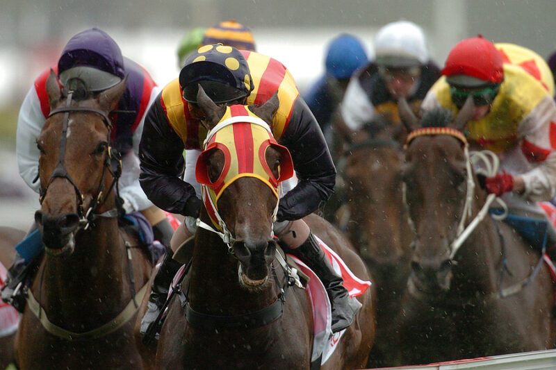 Prince George man wins $93k on $400 racetrack bet