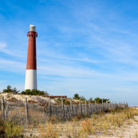 New jersey state parks hiring more than 800 seasonal workers for summer 2026 - photo licensed by shore news network.