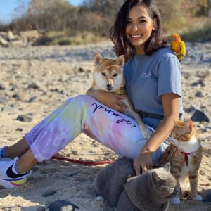 Internet celebrity cat killed, asian owner beaten in new york city park - photo licensed by shore news network.