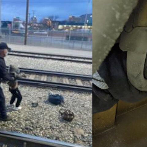 Unaccompanied children now being smuggled aboard dangerous freight trains from mexico - photo licensed by shore news network.