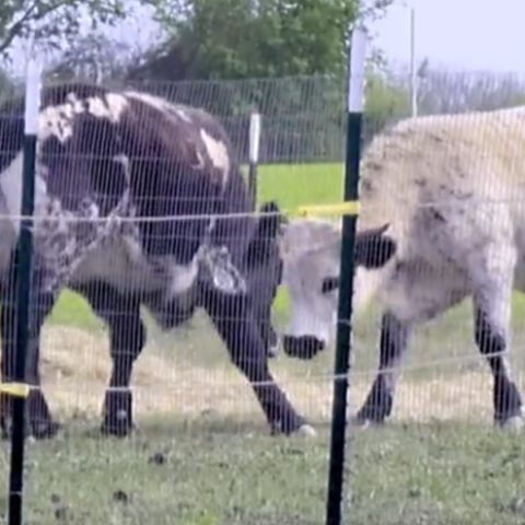Vijay jayaraj: bureaucrats are killing agriculture in the name of global warming - photo licensed by shore news network.