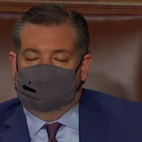 Ted cruz joins millions of americans, takes nap during biden speech - photo licensed by shore news network.