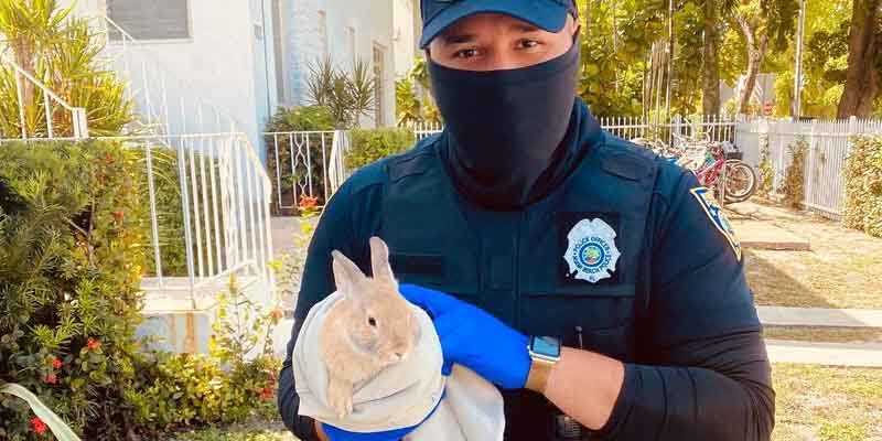 Miami Beach Police Capture Easter Bunny