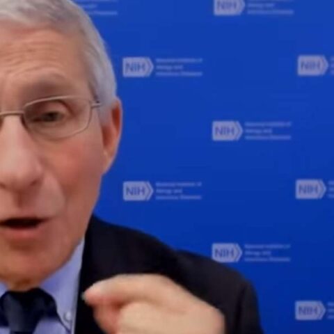 Fauci: cdc never said vaccinated people should ditch their facemasks - photo licensed by shore news network.