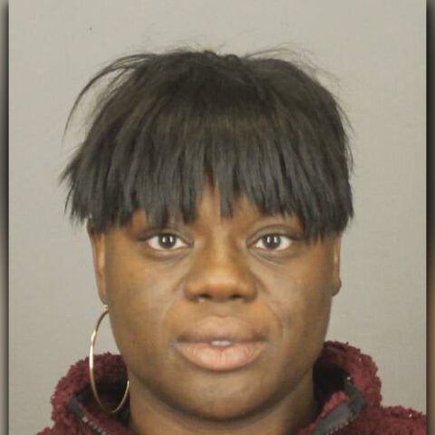 Rochester felon stabbed woman with scissors during argument - photo licensed by shore news network.